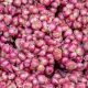 Foto : Bawang Merah (dok istimewa)