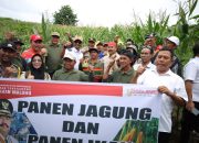 Bupati Edi Damansyah Lakukan Panen Bersama Petani Maluhu, Dorong Budaya Kerja Baru untuk Optimalkan Hasil Pertanian
